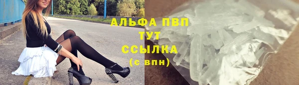 эйфоретик Новозыбков